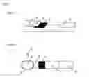 Fig. 02 - Immunoassay method and immunochromatographic kit