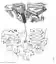 Fig. 06 - Genetically encoded biosensors
