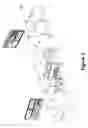 Fig. 03 - Real-time detection of influenza virus