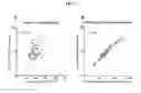 Fig. 08 - Lp-PLA2 assays and composition with detergent