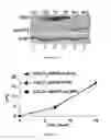 Fig. 07 - METHOD FOR INDIVIDUALIZED CANCER THERAPY