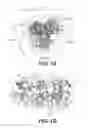 Fig. 02 - DE NOVO BINDING DOMAIN CONTAINING POLYPEPTIDES AND USES THEREOF