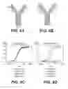 Fig. 05 - DE NOVO BINDING DOMAIN CONTAINING POLYPEPTIDES AND USES THEREOF