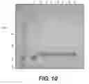 Fig. 11 - DE NOVO BINDING DOMAIN CONTAINING POLYPEPTIDES AND USES THEREOF