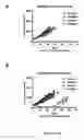 Fig. 28 - Methods for cytotoxic chemotherapy-based predictive assays