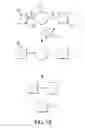 Fig. 03 - Reagents for quantitative mass spectrometry