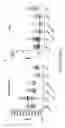 Fig. 04 - Methods and compositions for treatment of autoimmune hepatitis