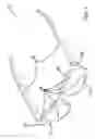 Fig. 02 - Cushioned Spectacle Assembly