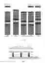 Fig. 07 - FLEXIBLE LIQUID CRYSTAL DISPLAY DEVICE AND METHOD FOR MANUFACTURING THE SAME