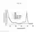 Fig. 07 - Photosensitive compositions and quantum dot polymer composite patterns including the same