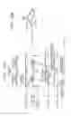 Fig. 10 - Image forming apparatus