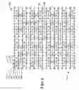 Fig. 09 - Method and apparatus for light field generation