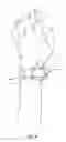 Fig. 06 - Watch band insert for positioning watch face on the interior side of a person's forearm