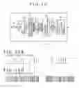 Fig. 11 - Pointer, position detection apparatus and position detection method