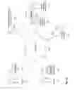 Fig. 32 - Computer implemented identification of genetic similarity