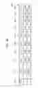 Fig. 31 - INFORMATION PROCESSING APPARATUS