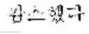 Fig. 21 - Translation method and apparatus, and translation system