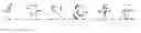 Fig. 63 - Translation method and apparatus, and translation system