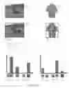 Fig. 04 - Image-based faceted system and method