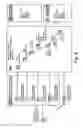 Fig. 09 - APPARATUS AND METHOD FOR WEB MARKETING TOOLS FOR DIGITAL ARCHIVES-WEB PORTAL ADVERTISING ARTS