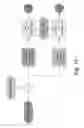 Fig. 15 - METHOD AND SYSTEM FOR PREDICTING REFRACTORY EPILEPSY STATUS