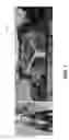 Fig. 08 - Gaze-driven augmented reality