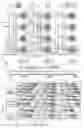 Fig. 28 - Neuromimetic circuit