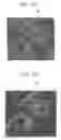 Fig. 08 - Image processing device, image processing method, program, and recording medium