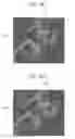 Fig. 09 - Image processing device, image processing method, program, and recording medium