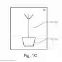 Fig. 04 - Determining a plant's biomass