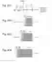 Fig. 13 - Opacity filter for display device