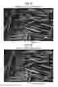 Fig. 07 - Display instrument and image display method