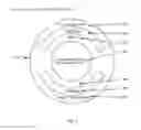 Fig. 05 - Wearable data transmission device and method