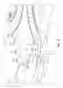 Fig. 05 - Apparatus and methods for wafer chucking on a susceptor for ALD