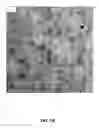 Fig. 08 - Photoactive devices and materials