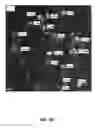 Fig. 09 - Photoactive devices and materials