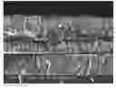 Fig. 01 - Adhesive Layer For Printed CIGS Solar Cells