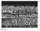 Fig. 02 - Adhesive Layer For Printed CIGS Solar Cells