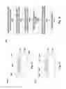 Fig. 08 - Methods of graphene growth and related structures