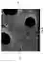 Fig. 09 - Diatomaceous energy storage devices