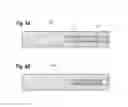 Fig. 09 - Process of forming epitaxial substrate and semiconductor optical device