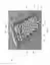 Fig. 02 - Floatable cell phone case