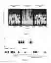 Fig. 02 - Method for transmitting an item of information to be recorded