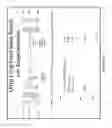 Fig. 06 - Intelligent Optical Network