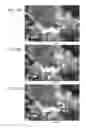 Fig. 12 - Image processing apparatus, imaging apparatus, image processing method, and recording medium