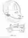 Fig. 07 - Magnetic pivot sensor for headset microphone