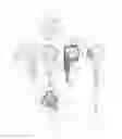 Fig. 02 - HEADPHONE WITH ANGLED DRIVER AND NOZZLE