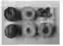 Fig. 01 - Nectarine tree named 'NJN102'