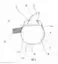 Fig. 06 - Hydroponic system including venturi aerator and vortex generator and related methods