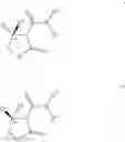 Fig. 19 - Cyclic N-carboxamide compounds useful as herbicides
